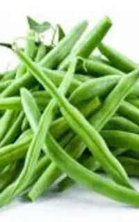 لوبیا سبز