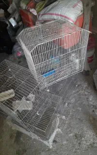 قفس پرنده
