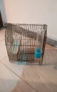 قفس قدیمی