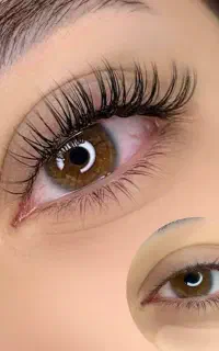 مژه