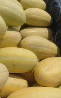 خربزه مشهدی درجه یک و تضمینی