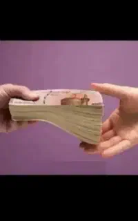 خدمات حسابداری و حسابرسی