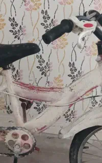 دوچرخه