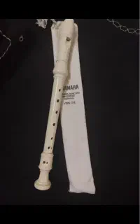 فلوت ریکوردر