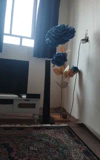 گل فومی