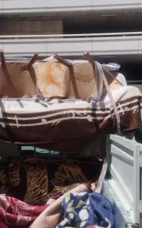 وانت بار شبانه روزی