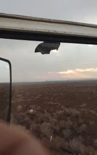 شاگرد تریلی