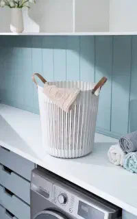 سبدرخت مدرن