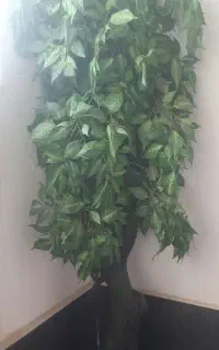 ۲عدد درختچه مصنوعی