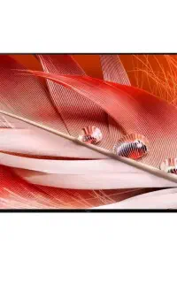 tv sony x90j 55in