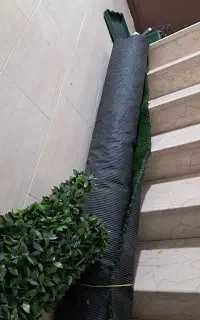 چمن و فنس برگ ریحون