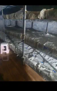 کمپوست ضایعات ۱