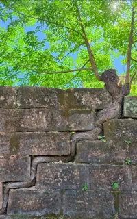 سیمکارت سنندج