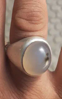 انگشتر شجر سمنانی