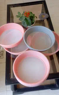 الک  پلاستیکی مخصوص کیک و مصرف آشپز خانه