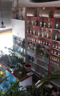 مغازه ۶ دانگ ۴۲ متری کاظم اباد