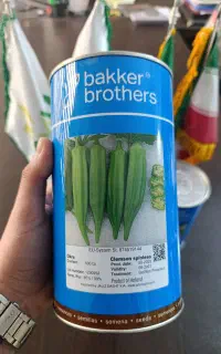 بذر بامیه بیکر (Bakker)