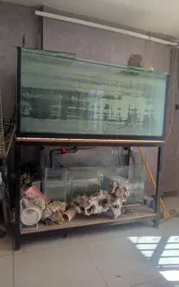 اکواریوم با سامپ و تجهیزات کامل