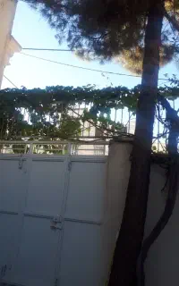 تجاری مسکونی شهسواران
