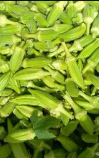 حمیدیه بامیه درجه یک