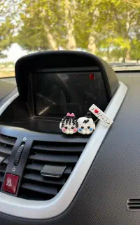 چسبونک ماشین