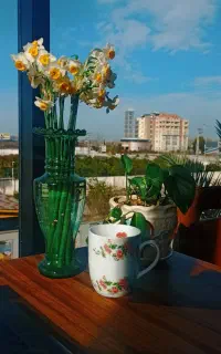 استخدام راننده با ماشین