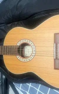 گیتار پارسی M5
