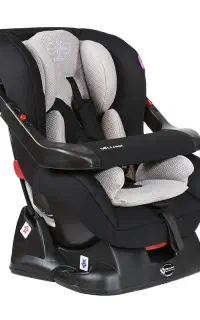 صندلی خودرو دلیجان