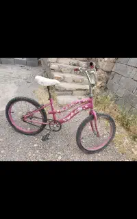 دوچرخه 12 و 20 دخترانه