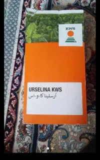 بذر چغندر به قیمت کارخانه سم فروشی سعیدمحسنی