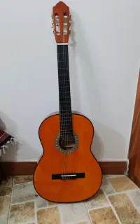 گیتار نو