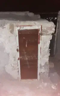 در کبوتر خونه فروشی