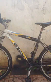 دوچرخه ویوا