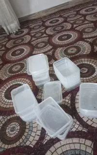 ظرف