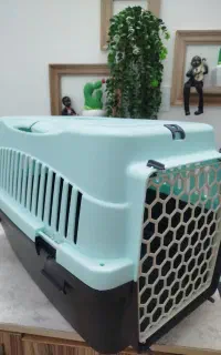 باکس سگ
