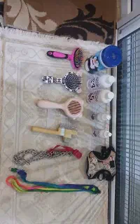 سگ پامر