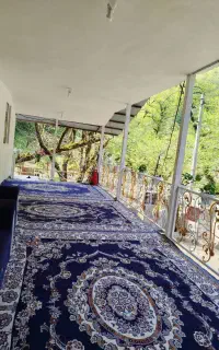 ویلا جنگلی کنار رودخانه در دل طبیعت