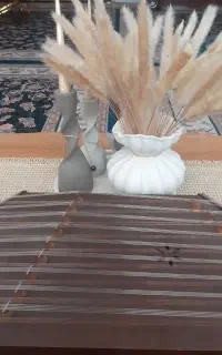 سنتور موسوی