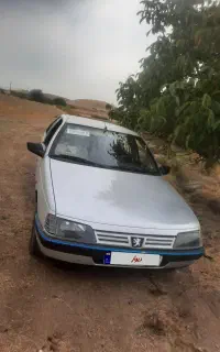 405مدل ۸۹دوگانه کارخانه تمیز