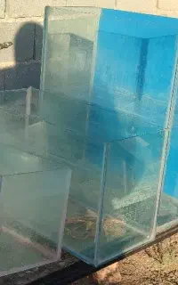 آکواریوم