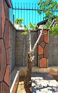سرایدار باغ ویلا دماوند
