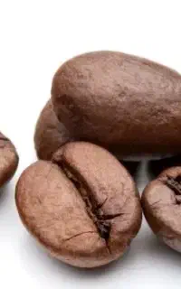 فروش قهوه