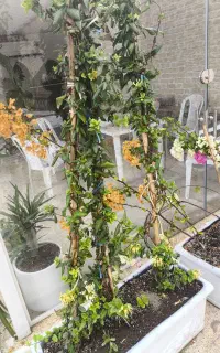 استخدام سر آشپز فست فود برای شاورما