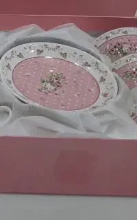 ظروف چینی انجل