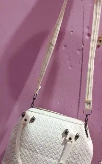 کیف کفش