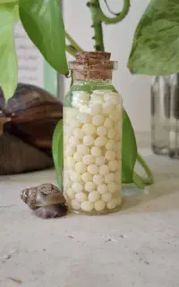 خاویار حلزون