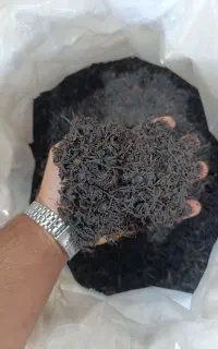 چای بهاره لاهیجان فروش عمده