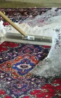 قالیشویی تخصصی زنده رود