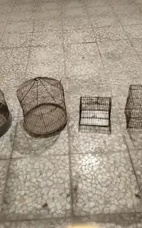 قفس پرنده