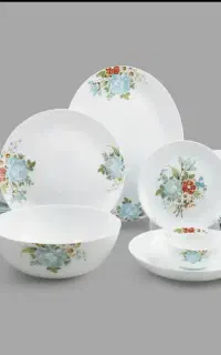 انواع حراجی چینی اوپال مقصود فرانسه